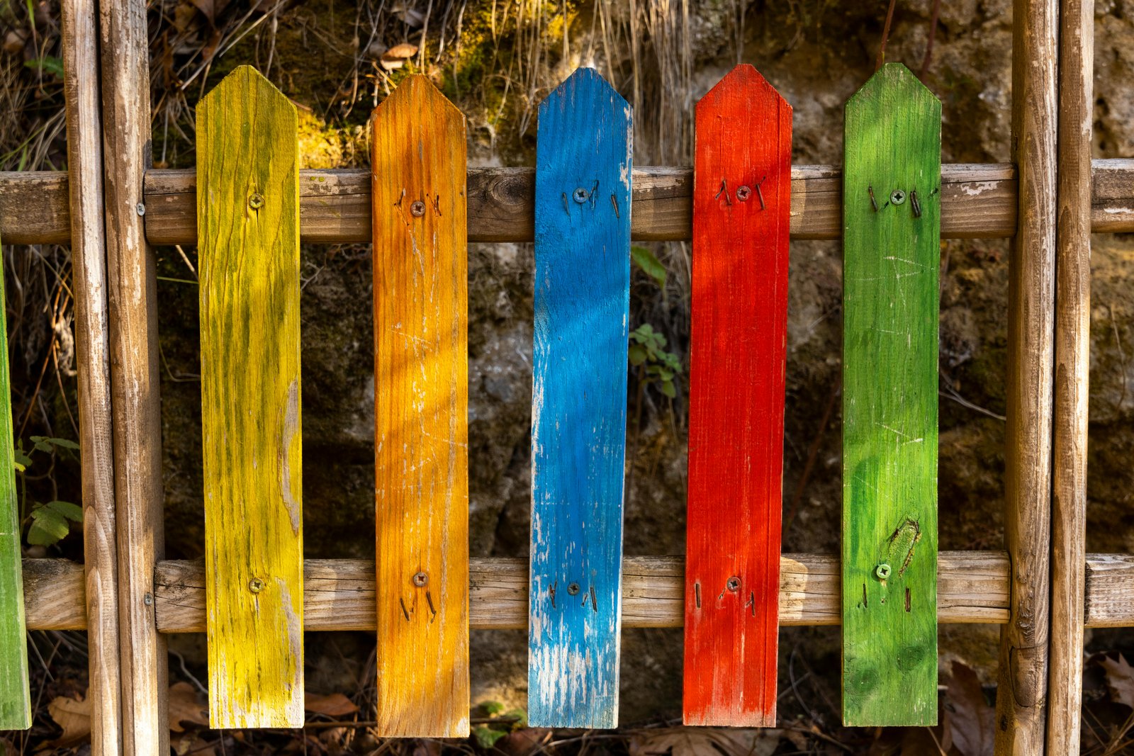 Fence Painting